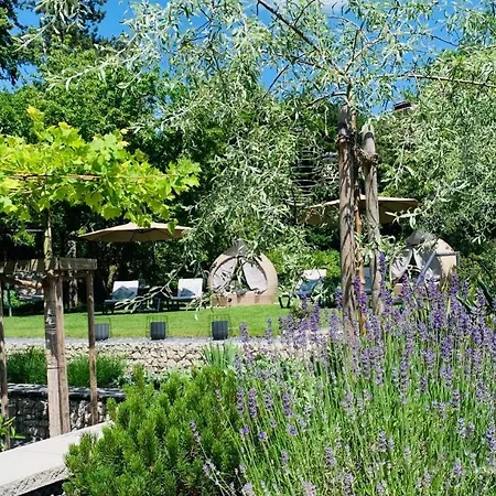 Fichtenwald-ihr Boutique I Glueck's 3*