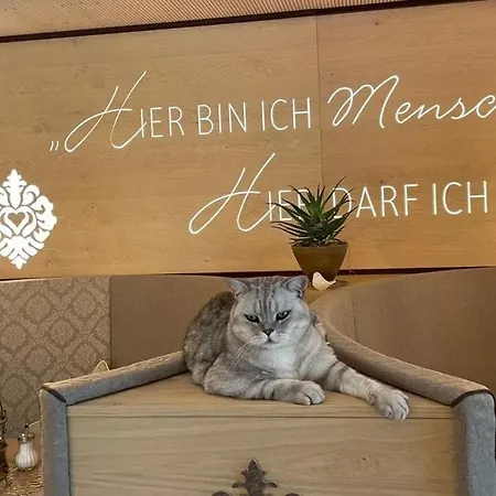 Fichtenwald-ihr Boutique I Glueck's 3* Bad Füssing