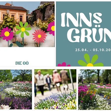 Fichtenwald-ihr Boutique I Glueck's 3*